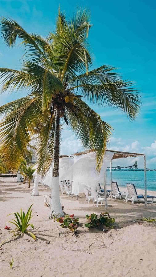 Makary Beach Tolu By Bernalo Hotels Luaran gambar